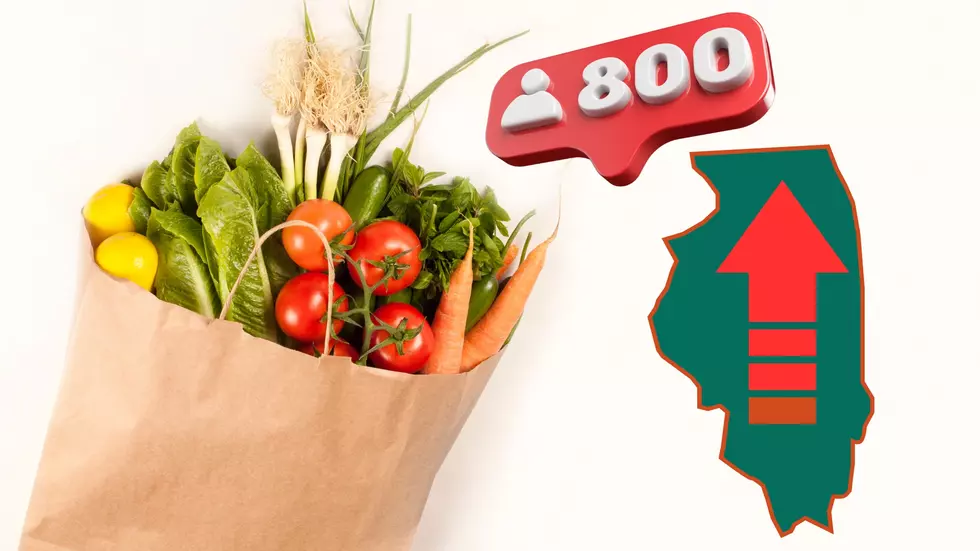 Illinois Grocery Chain Plans Enormous Expansion of 800 New Stores